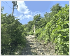  2025Ÿ��72798 ��� ����õ�� ����õ�� 79-3       ����(�Ӿ�)���