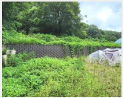  2025Ÿ��72902  �����