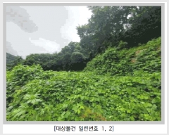  2025Ÿ��72902  �����