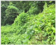  2025Ÿ��72902  �����