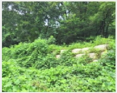  2025Ÿ��72902  �����