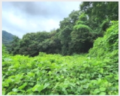  2025Ÿ��72902  �����