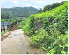  2025Ÿ��72902  �����