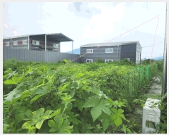  2025Ÿ72926  ֽ 鼮 긮 326-14      (1)