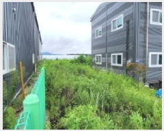  2025Ÿ72926  ֽ 鼮 긮 326-14      (1)