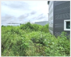  2025Ÿ72926  ֽ 鼮 긮 326-14      (1)