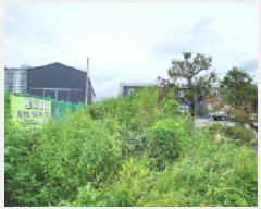  2025Ÿ72926  ֽ 鼮 긮 326-14      (1)