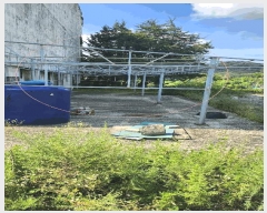  2025Ÿ��72984 ��� ��õ�� �̵��� ��� 671      ���ڽü�,����,ȣ��,�������