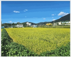  2025Ÿ��73179 ��� ���ֽ� �鼮�� �漺�� 411-3      ����(��)���