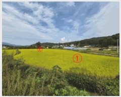  2025Ÿ��73262 ��� ��õ�� â���� �ߵ��� 43-1      ����(��)���