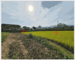  2025Ÿ��73262 ��� ��õ�� â���� �ߵ��� 43-1      ����(��)���