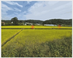  2025Ÿ��73262 ��� ��õ�� â���� �ߵ��� 43-1      ����(��)���