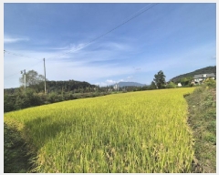  2025Ÿ��73262 ��� ��õ�� â���� �ߵ��� 43-1      ����(��)���