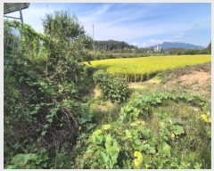  2025Ÿ��73262 ��� ��õ�� â���� �ߵ��� 43-1      ����(��)���