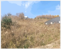  2025Ÿ��73451 ��� ���ֽ� ������ ����� 301-4      ������