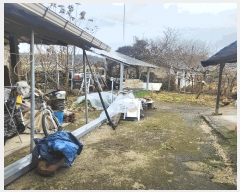  2025Ÿ��73490 ��� ��õ�� �ϵ��� ������ 506-1      ����(����)���