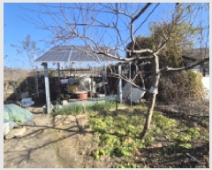  2025Ÿ��73490 ��� ��õ�� �ϵ��� ������ 506-1      ����(����)���