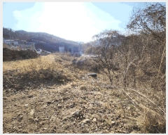  2025Ÿ��73623 ��� ��õ�� ���̸� ���ȸ� 308-2      ����(�Ӿ�)���