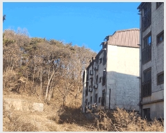  2025Ÿ��73758  �ټ���(����)���