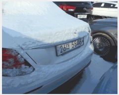  2025Ÿ��73899  �������