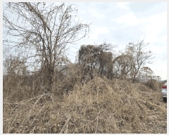  2025Ÿ689  ֽ  ѻ긮 437-4      