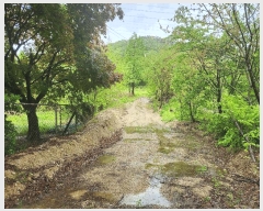  2025Ÿ��1729  �����