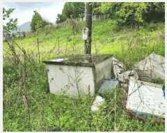  2025Ÿ��1729  �����