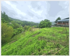  2025Ÿ��1729  �����