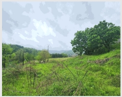  2025Ÿ��1729  �����