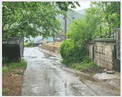  2025Ÿ��1729  �����