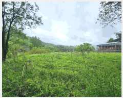  2025Ÿ��1729  �����