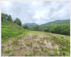  2025Ÿ��1729  �����