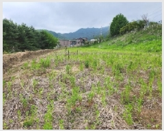  2025Ÿ��1729  �����