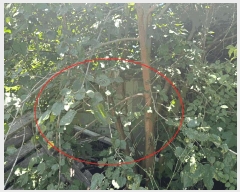  2025Ÿ��2814  ���ð��