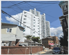  2025Ÿ��3534  ����Ʈ���