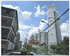  2025Ÿ��3534  ����Ʈ���