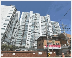  2025Ÿ��3534  ����Ʈ���