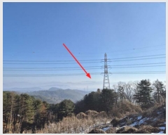  2025Ÿ70206  õ źϸ  561-1      (1)