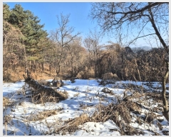  2025Ÿ70206  õ źϸ  561-1      (1)