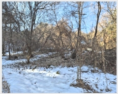  2025Ÿ70206  õ źϸ  561-1      (1)