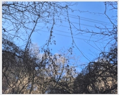  2025Ÿ70206  õ źϸ  561-1      (1)