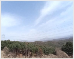  2025Ÿ70206  õ źϸ  561-1      (1)