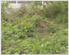  2025Ÿ��71929 ��� ���ֽ� ���۵� 58-16       ����(������)���