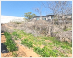  2025Ÿ��71929 ��� ���ֽ� ���۵� 58-16       ����(������)���