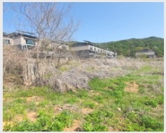  2025Ÿ��71929 ��� ���ֽ� ���۵� 58-16       ����(������)���