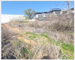  2025Ÿ��71929 ��� ���ֽ� ���۵� 58-16       ����(������)���