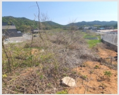  2025Ÿ��71929 ��� ���ֽ� ���۵� 58-16       ����(������)���