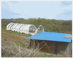  2025Ÿ72103  õ   161      (1)