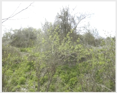  2025Ÿ72103  õ   161      (1)