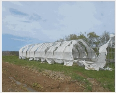  2025Ÿ72103  õ   161      (1)